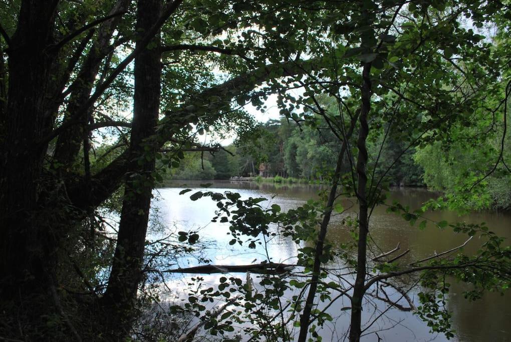 Paradis Perdu En Sologne Avec Plage Privee Villeny Kültér fotó