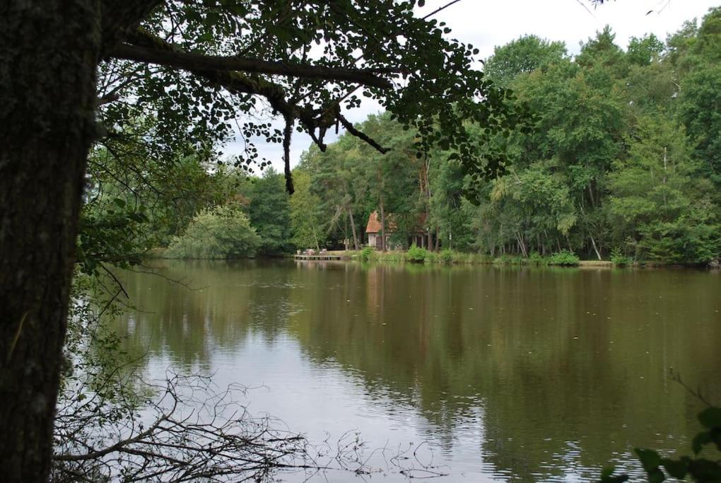 Paradis Perdu En Sologne Avec Plage Privee Villeny Kültér fotó